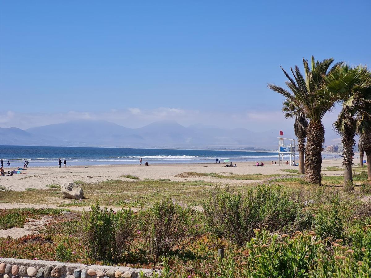 Mar Serena Suite La Serena Kültér fotó